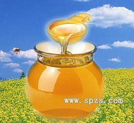蜂胶的神奇功效 探索这款天然保健食品的奥秘